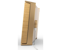 Bang & Olufsen Przenośny głośnik Beosound Level Gold Tone Alu/Light Oak - 718488 - zdjęcie 5